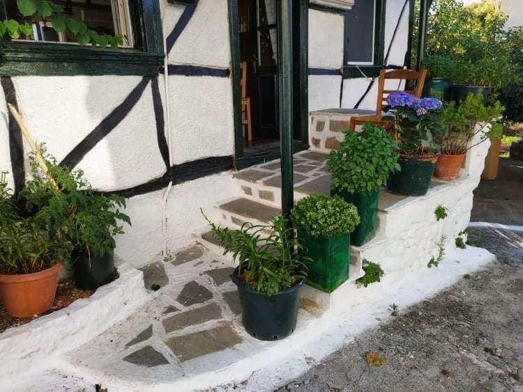 Katouna Lefkada Villas Panoramic מראה חיצוני תמונה
